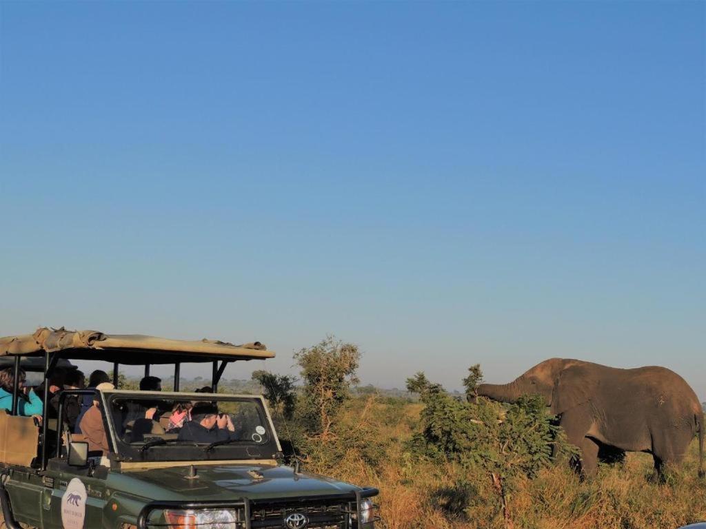 Croc Orvyll'S Kruger Lodge Marloth Park Esterno foto
