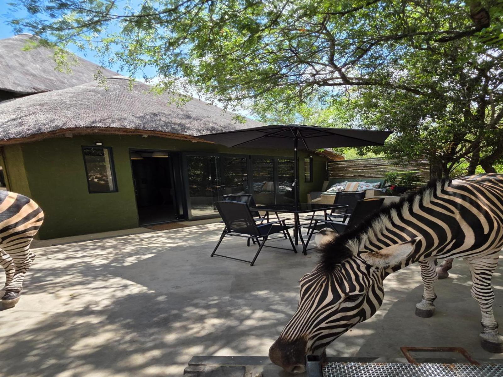 Croc Orvyll'S Kruger Lodge Marloth Park Esterno foto